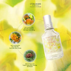 Nến Thơm L'Occitane